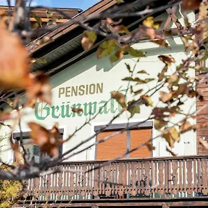 Guest house Pension Gruenwald